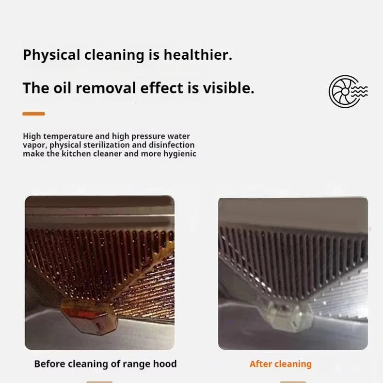 Steam Cleaner High Temperature Sterilization Air Conditioning Kitchen Hood Home /Car Steaming Cleaner 220V EU Plug